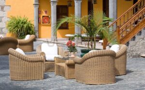 WhatsApp Image 2025-10-06 at 4.12.48 PM